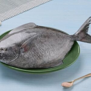 Black Pomfret